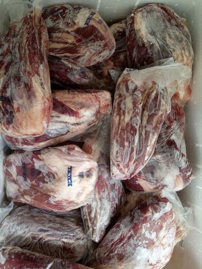 Bắp hoa bò mỹ Excel