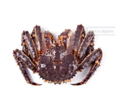 Cua Hoàng Đế Nguyên Con Tươi FROZEN CANADIAN KING CRAB