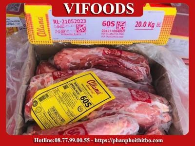 Cung Cấp Bắp Hoa Bò Giá Sỉ Tại TPHCM