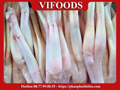 Cung Cấp Gân Chữ Y Giá Sỉ TPHCM