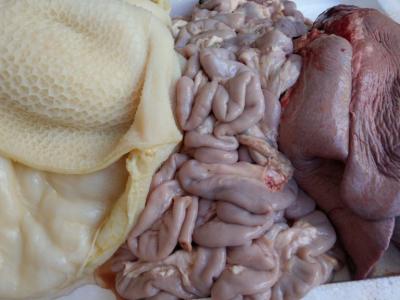 Địa chỉ chuyên cung cấp lòng bò tươi