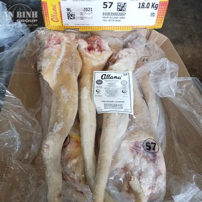 Đuôi Trâu Ấn Độ – M57