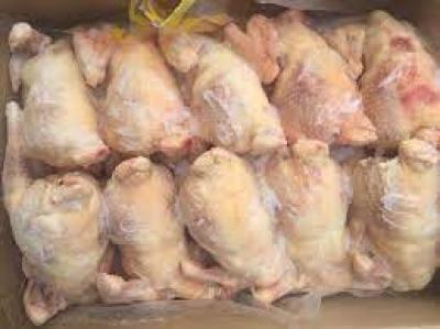 Gà dai Hàn Quốc 10 con/ thùng