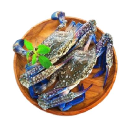 Ghẹ Xanh Đông Lạnh Nguyên Con FROZEN BLUE SWIMMING CRAB