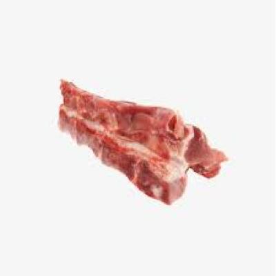 Xương sống lưng